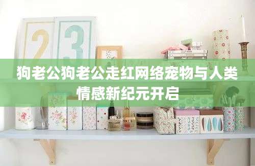 狗老公狗老公走红网络宠物与人类情感新纪元开启