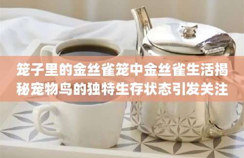 笼子里的金丝雀笼中金丝雀生活揭秘宠物鸟的独特生存状态引发关注