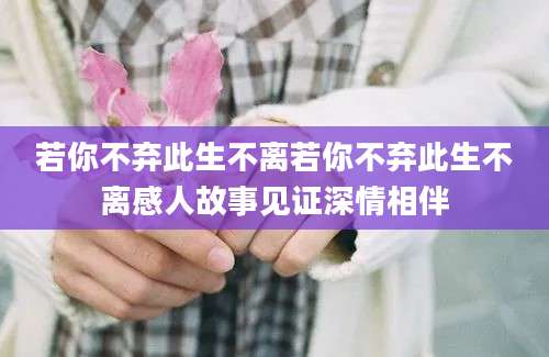 若你不弃此生不离若你不弃此生不离感人故事见证深情相伴