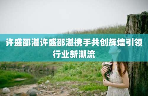 许盛邵湛许盛邵湛携手共创辉煌引领行业新潮流
