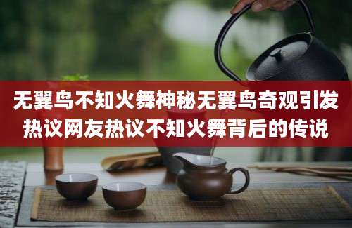 无翼鸟不知火舞神秘无翼鸟奇观引发热议网友热议不知火舞背后的传说