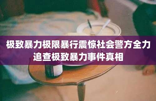 极致暴力极限暴行震惊社会警方全力追查极致暴力事件真相