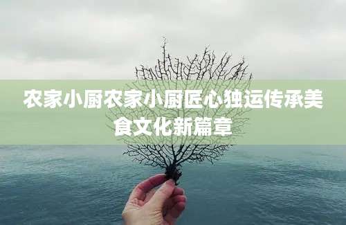 农家小厨农家小厨匠心独运传承美食文化新篇章