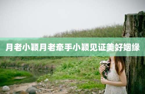 月老小颖月老牵手小颖见证美好姻缘