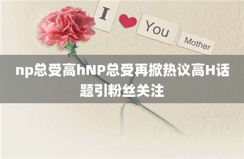 np总受高hNP总受再掀热议高H话题引粉丝关注