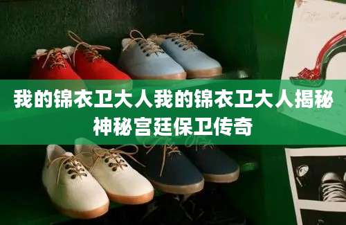 我的锦衣卫大人我的锦衣卫大人揭秘神秘宫廷保卫传奇