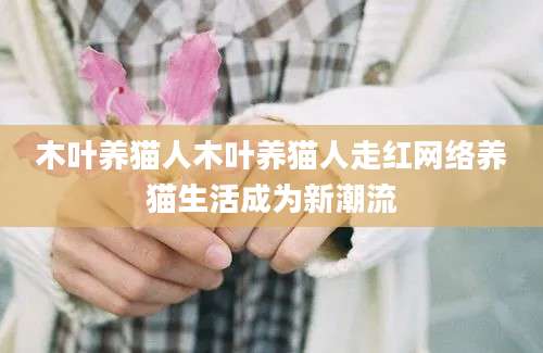 木叶养猫人木叶养猫人走红网络养猫生活成为新潮流