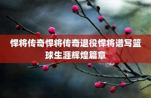 悍将传奇悍将传奇退役悍将谱写篮球生涯辉煌篇章