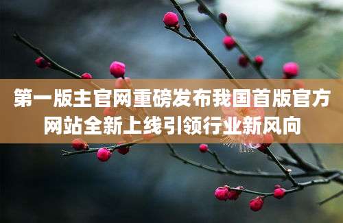 第一版主官网重磅发布我国首版官方网站全新上线引领行业新风向