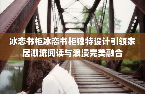 冰恋书柜冰恋书柜独特设计引领家居潮流阅读与浪漫完美融合