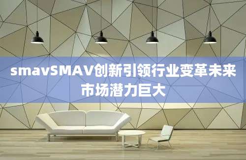 smavSMAV创新引领行业变革未来市场潜力巨大