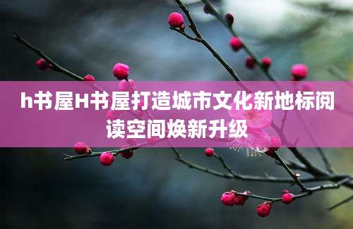 h书屋H书屋打造城市文化新地标阅读空间焕新升级