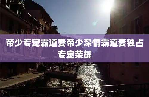 帝少专宠霸道妻帝少深情霸道妻独占专宠荣耀