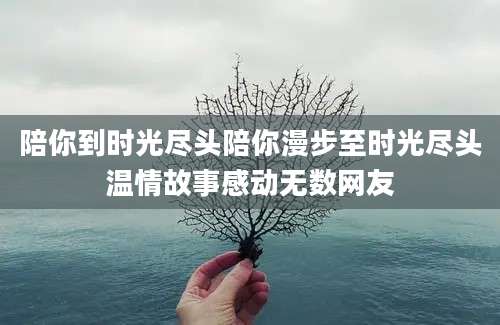 陪你到时光尽头陪你漫步至时光尽头温情故事感动无数网友