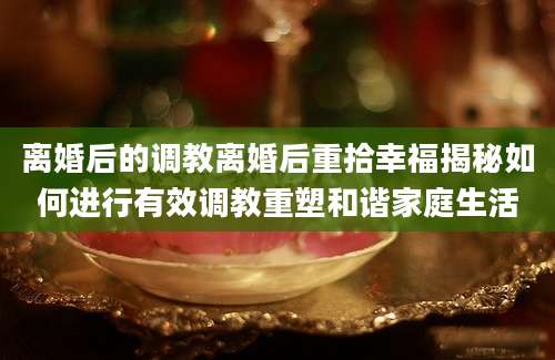 离婚后的调教离婚后重拾幸福揭秘如何进行有效调教重塑和谐家庭生活