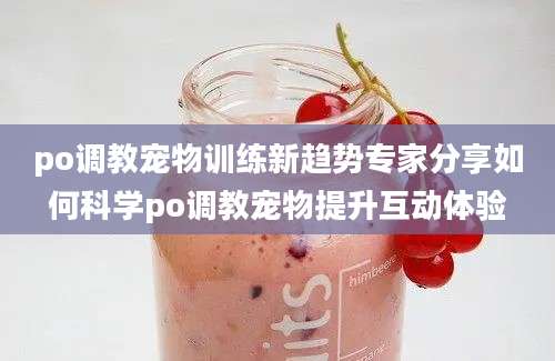 po调教宠物训练新趋势专家分享如何科学po调教宠物提升互动体验