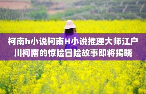柯南h小说柯南H小说推理大师江户川柯南的惊险冒险故事即将揭晓