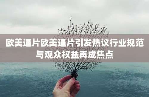 欧美逼片欧美逼片引发热议行业规范与观众权益再成焦点