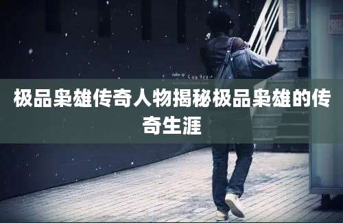 极品枭雄传奇人物揭秘极品枭雄的传奇生涯