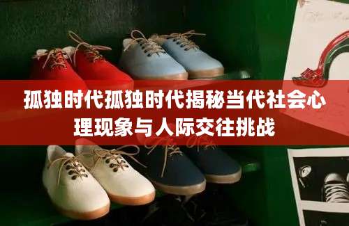 孤独时代孤独时代揭秘当代社会心理现象与人际交往挑战