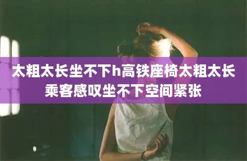 太粗太长坐不下h高铁座椅太粗太长乘客感叹坐不下空间紧张
