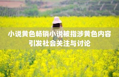 小说黄色畅销小说被指涉黄色内容引发社会关注与讨论