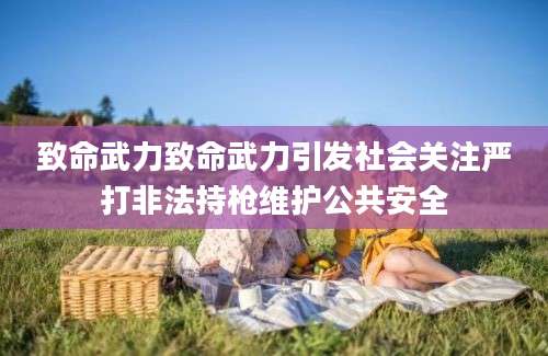致命武力致命武力引发社会关注严打非法持枪维护公共安全