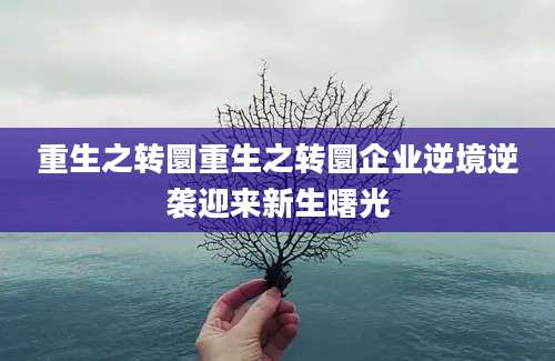 重生之转圜重生之转圜企业逆境逆袭迎来新生曙光