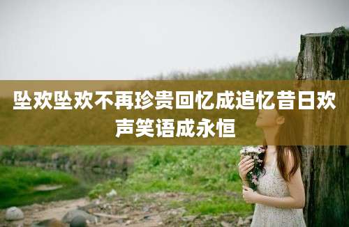 坠欢坠欢不再珍贵回忆成追忆昔日欢声笑语成永恒