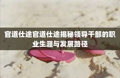 官道仕途官道仕途揭秘领导干部的职业生涯与发展路径