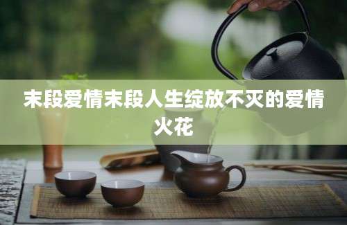 末段爱情末段人生绽放不灭的爱情火花