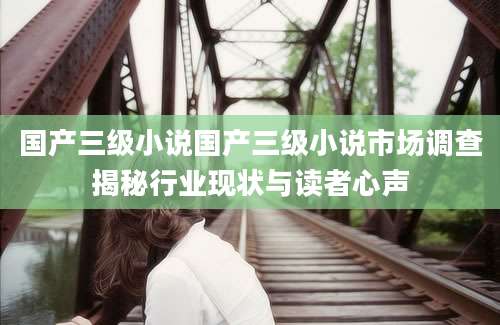国产三级小说国产三级小说市场调查揭秘行业现状与读者心声
