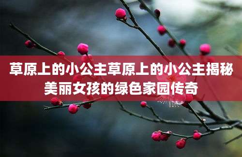 草原上的小公主草原上的小公主揭秘美丽女孩的绿色家园传奇