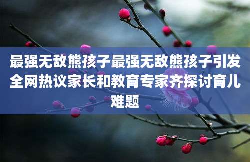 最强无敌熊孩子最强无敌熊孩子引发全网热议家长和教育专家齐探讨育儿难题