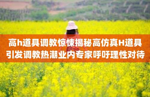 高h道具调教惊悚揭秘高仿真H道具引发调教热潮业内专家呼吁理性对待