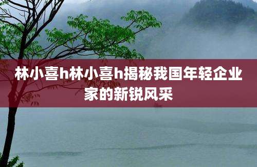 林小喜h林小喜h揭秘我国年轻企业家的新锐风采