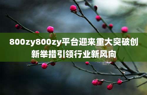 800zy800zy平台迎来重大突破创新举措引领行业新风向