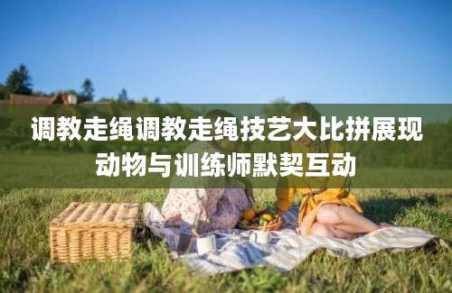 调教走绳调教走绳技艺大比拼展现动物与训练师默契互动
