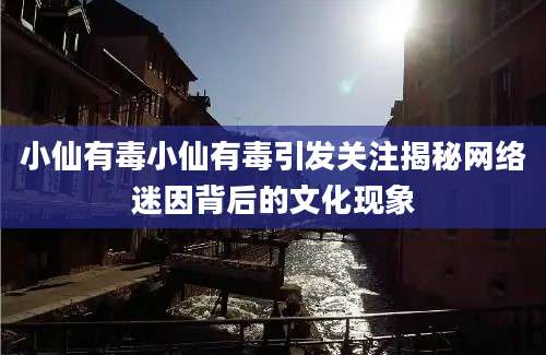 小仙有毒小仙有毒引发关注揭秘网络迷因背后的文化现象